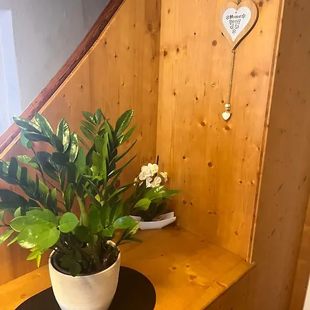 Apartment Gaestehaus Zum Alpenjaeger *