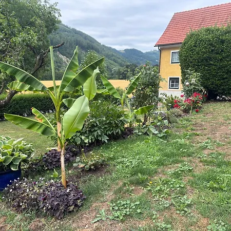 Gaestehaus Zum Alpenjaeger Appartement